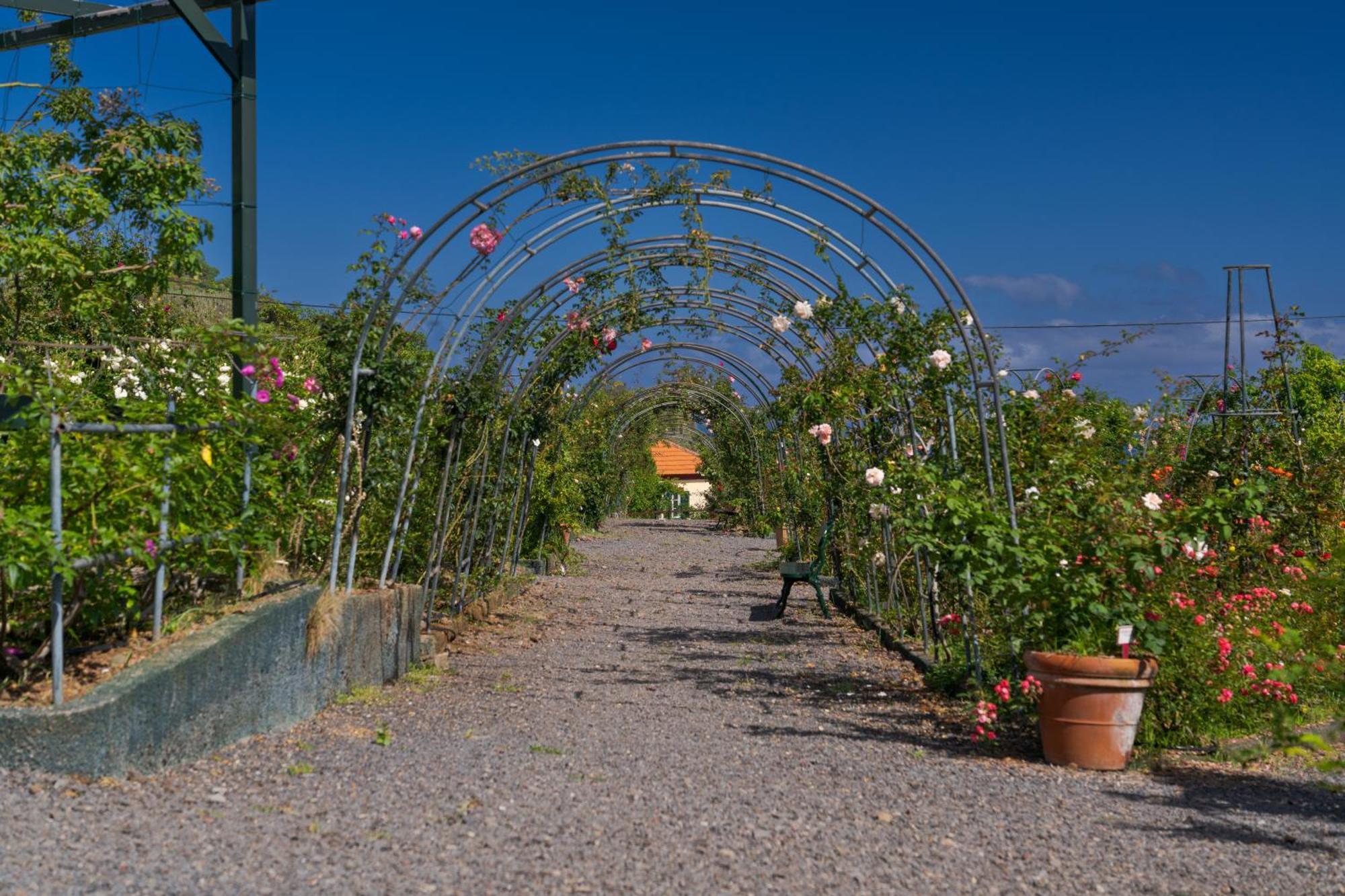 Pestana Quinta Do Arco Nature & Rose Garden Hotel Arco de São Jorge Dış mekan fotoğraf
