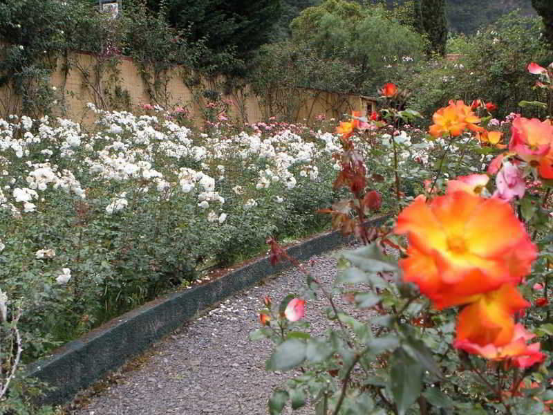 Pestana Quinta Do Arco Nature & Rose Garden Hotel Arco de São Jorge Dış mekan fotoğraf