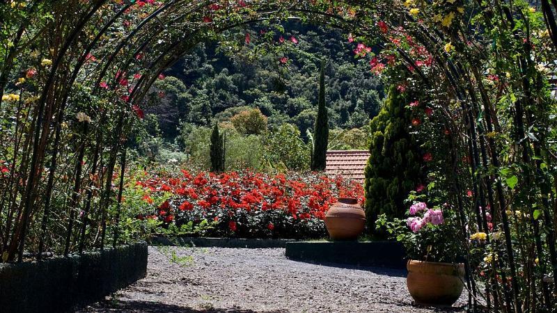 Pestana Quinta Do Arco Nature & Rose Garden Hotel Arco de São Jorge Dış mekan fotoğraf